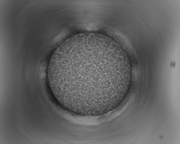 X0000116570032201001211253