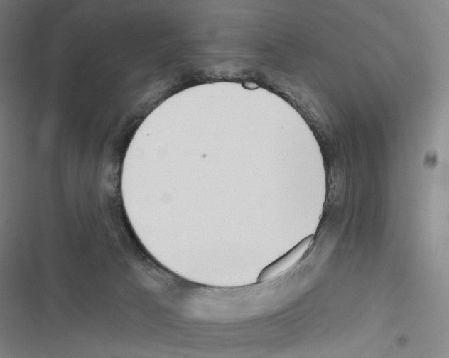 X0000116570033201001211253