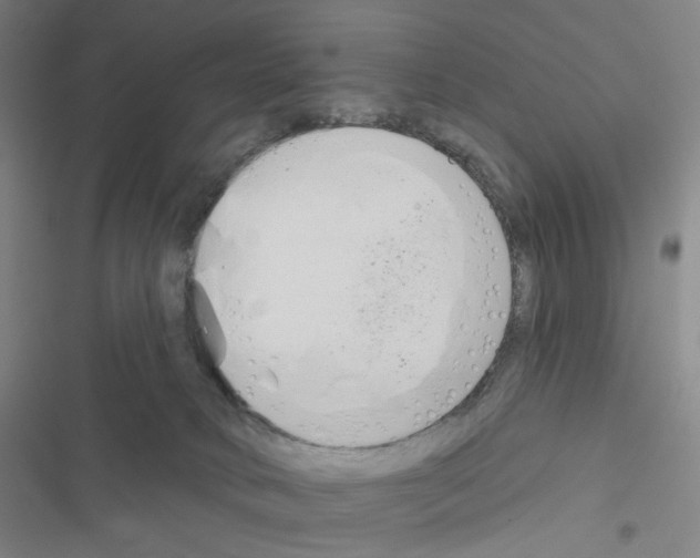 X0000116570034201001211253