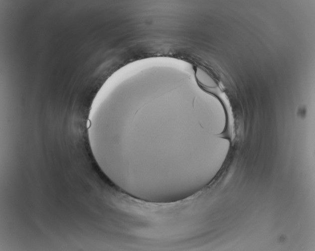 X0000116570035201001211253