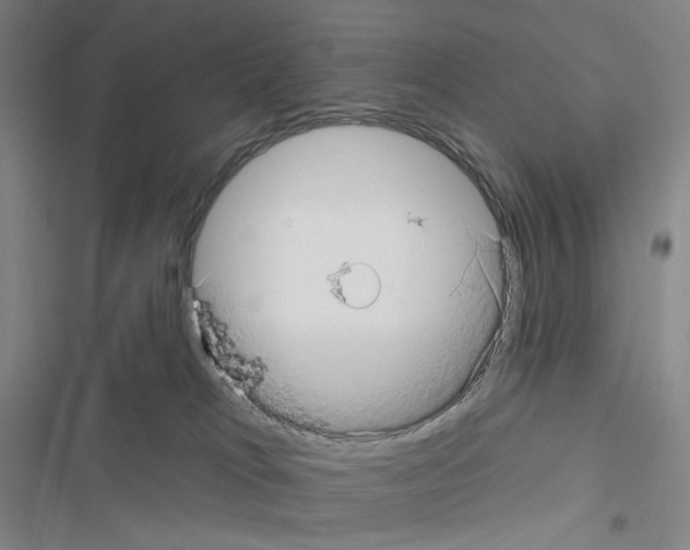 X0000116570037201001211253