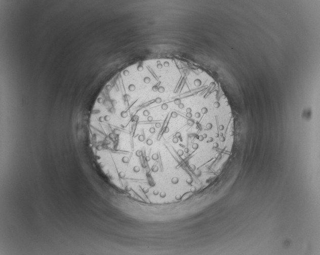 X0000116570038201001211253