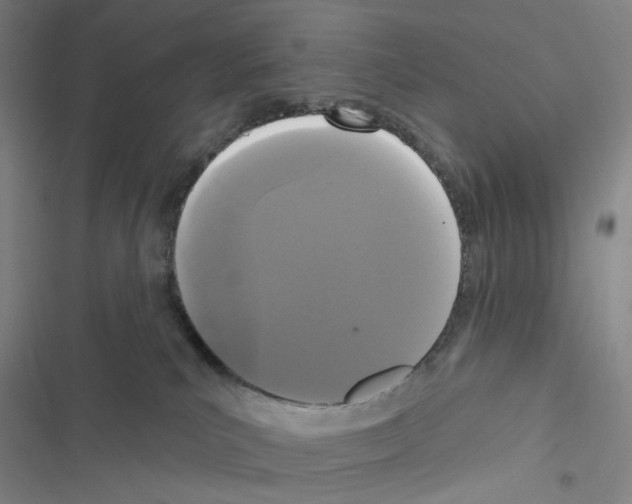 X0000116570039201001211253