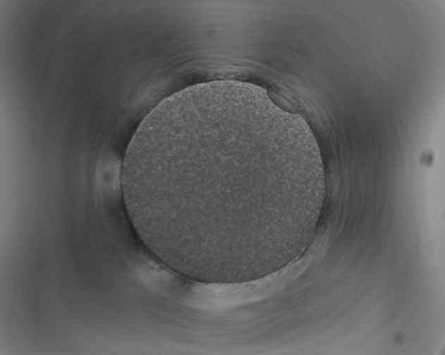 X0000116570041201001211253