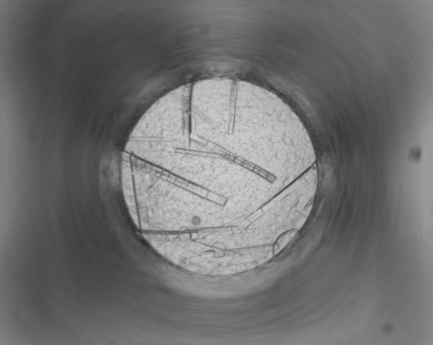 X0000116570042201001211253