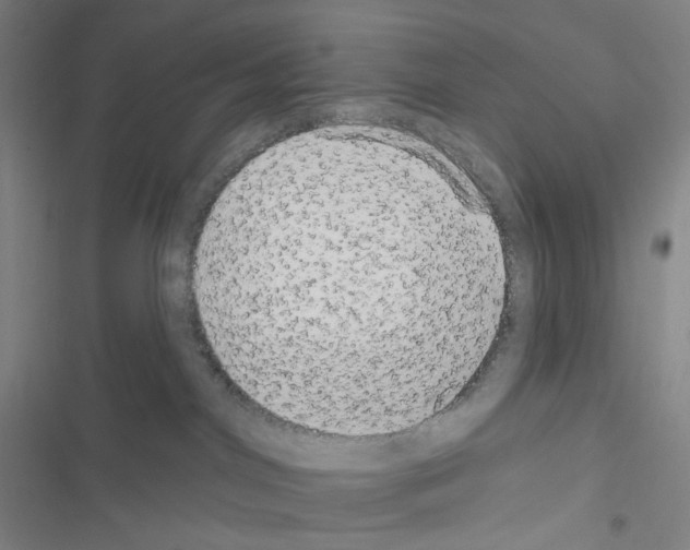 X0000116570044201001211253