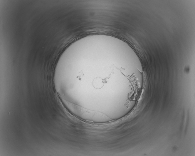 X0000116570045201001211253