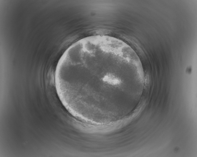 X0000116570046201001211253