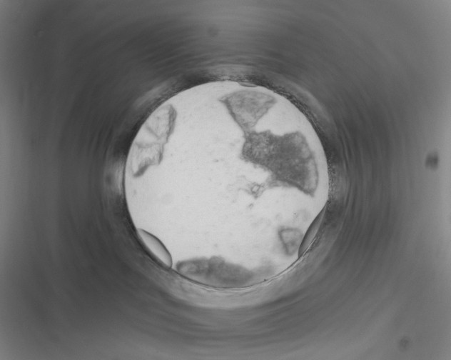 X0000116570047201001211253