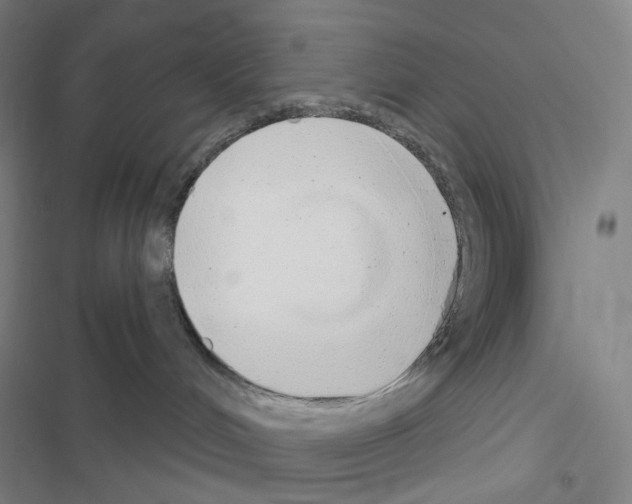 X0000116570048201001211253