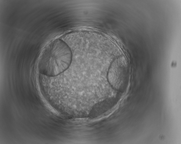 X0000116570049201001211252