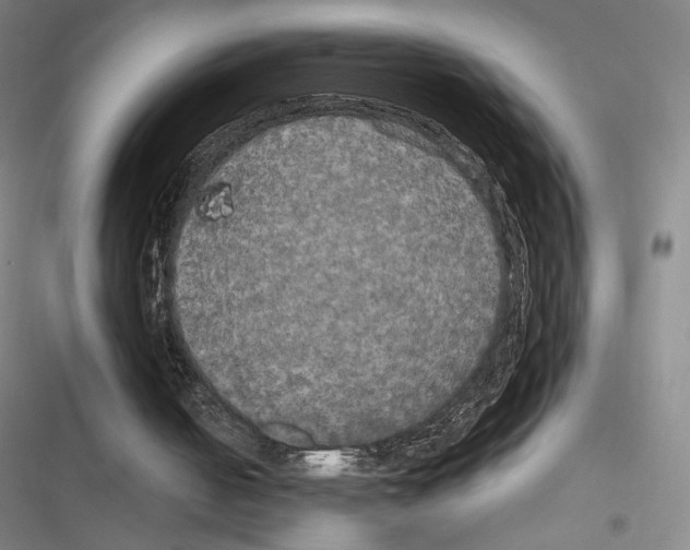 X0000116570050201001211252