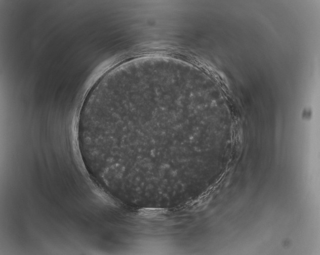 X0000116570051201001211252