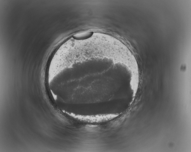 X0000116570055201001211252