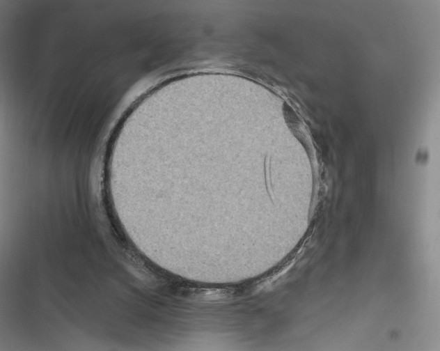 X0000116570056201001211252