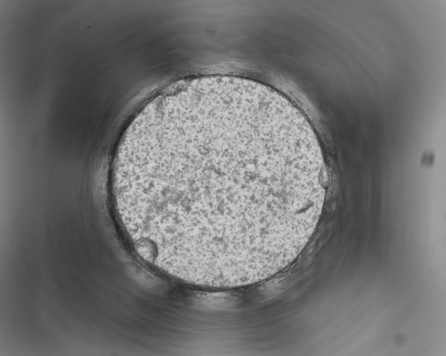 X0000116570058201001211252