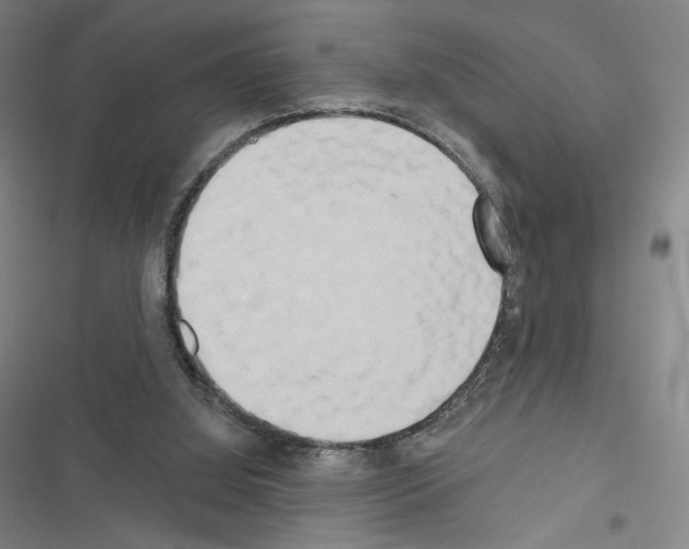 X0000116570060201001211252