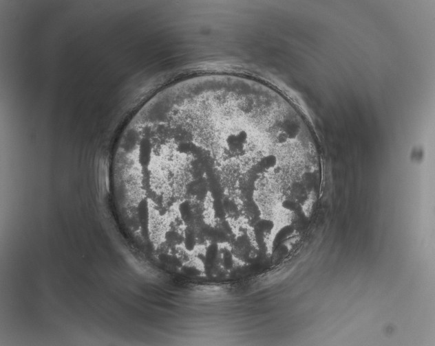 X0000116570061201001211252