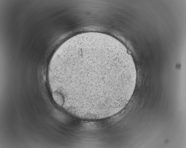 X0000116570062201001211252