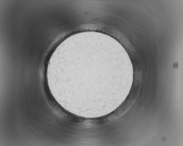 X0000116570064201001211252