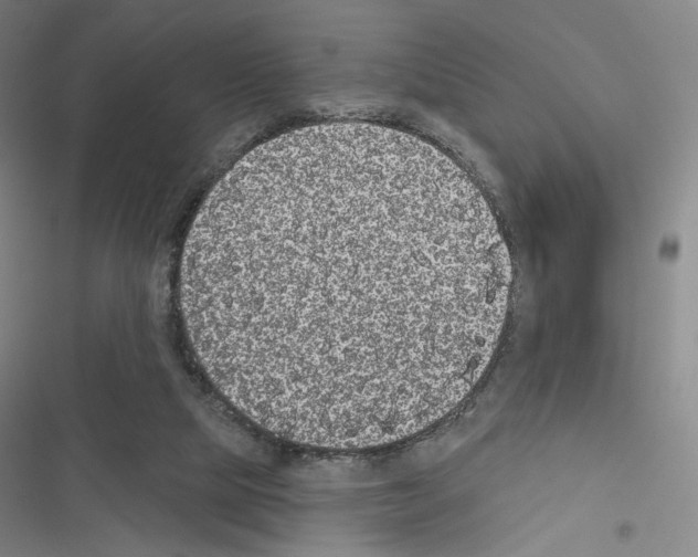 X0000116570065201001211252