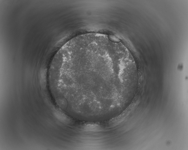 X0000116570066201001211252