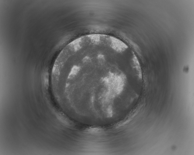 X0000116570067201001211252