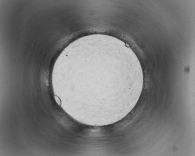 X0000116570068201001211252