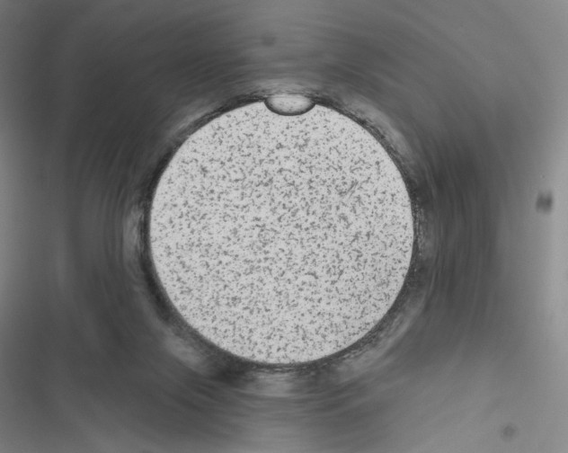 X0000116570071201001211252