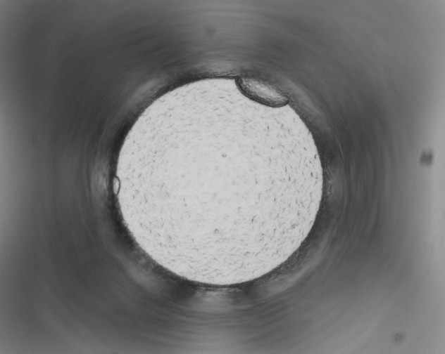 X0000116570072201001211252