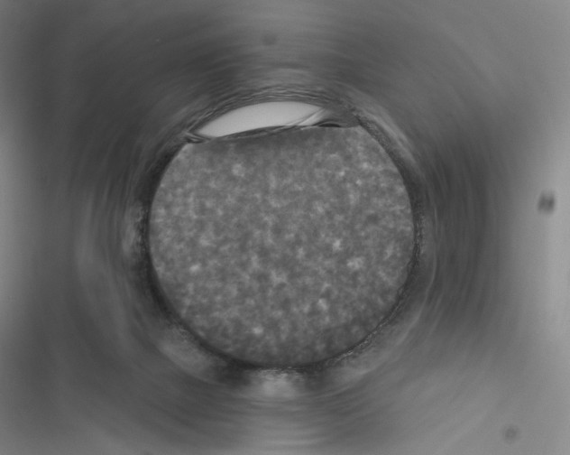 X0000116570073201001211252