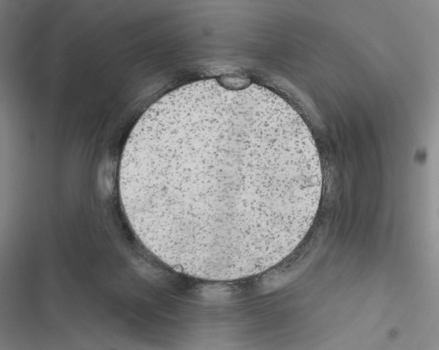 X0000116570075201001211252