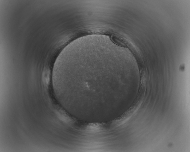 X0000116570076201001211252