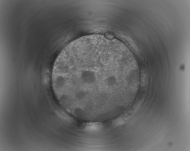 X0000116570077201001211252