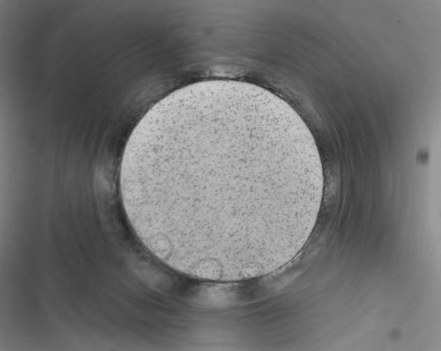 X0000116570078201001211252