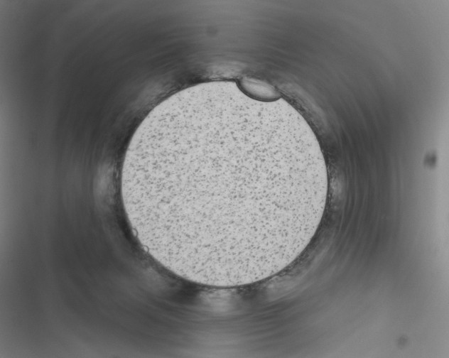 X0000116570079201001211252