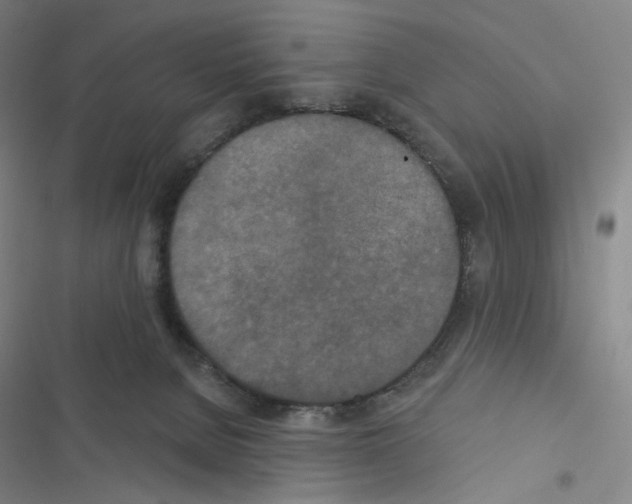 X0000116570080201001211252