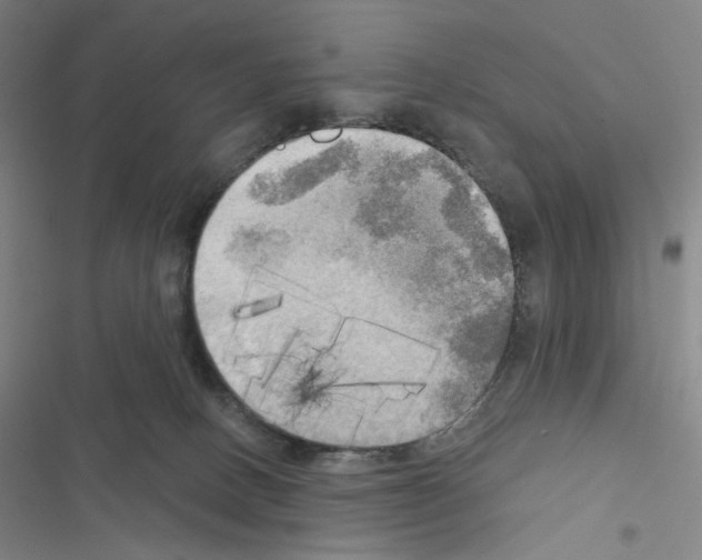 X0000116570082201001211252