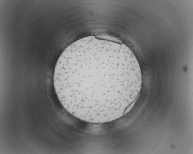 X0000116570083201001211252