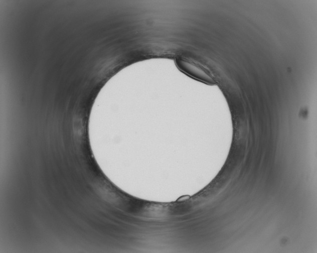 X0000116570084201001211252