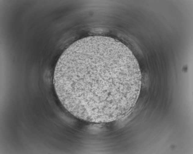 X0000116570086201001211252