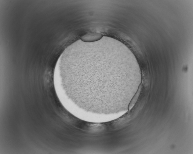 X0000116570087201001211252