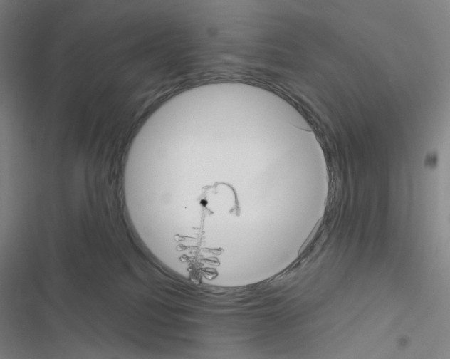 X0000116570088201001211252