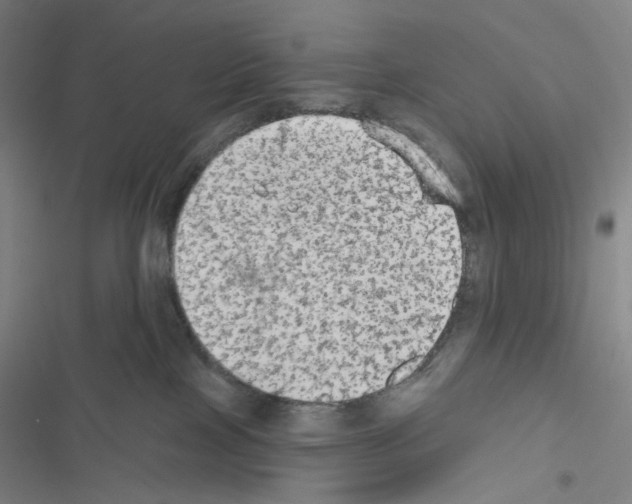 X0000116570089201001211252