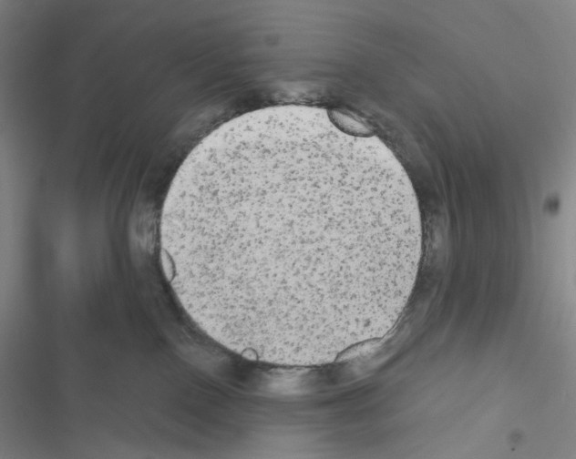 X0000116570090201001211252