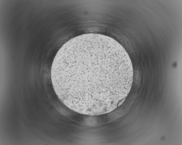 X0000116570091201001211253