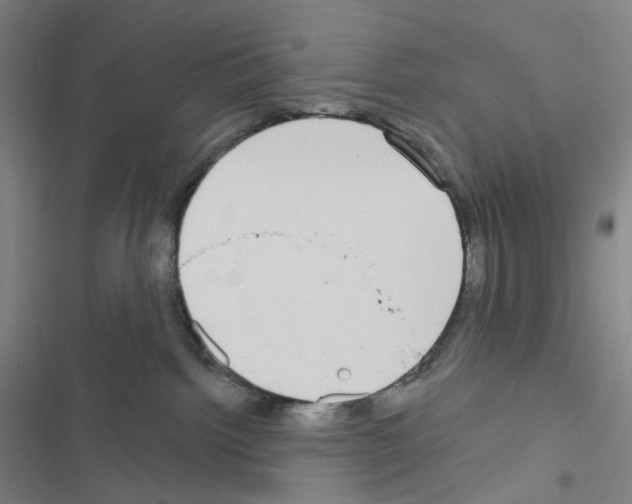 X0000116570092201001211253