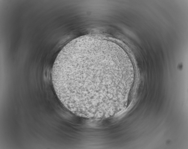 X0000116570094201001211253