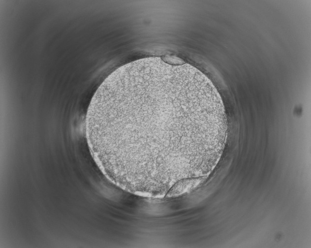 X0000116570095201001211253