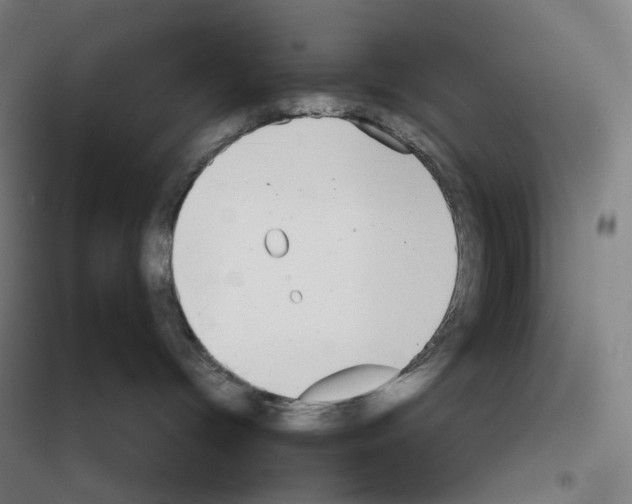 X0000116570096201001211253